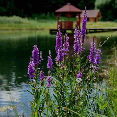 Heaven Z Prywatnym Jacuzzi I Sauna Apartmán